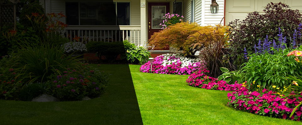 Aiea Landscapers