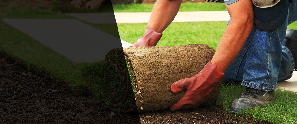 Aiea Landscapers